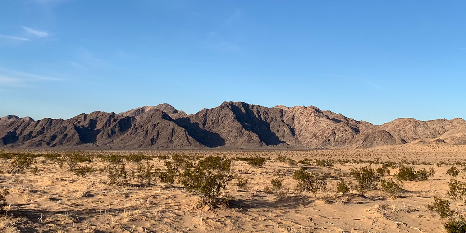 Coachella advertising Coachella advertising