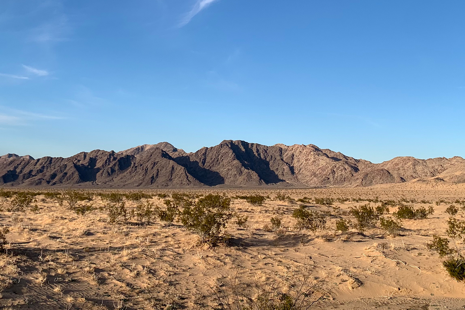 Coachella advertising