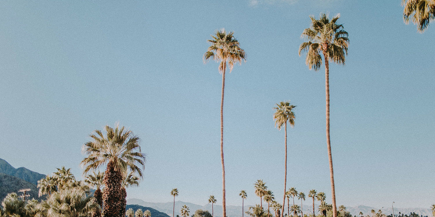 Palm-Springs-Digital-Marketing Palm-Springs-Digital-Marketing