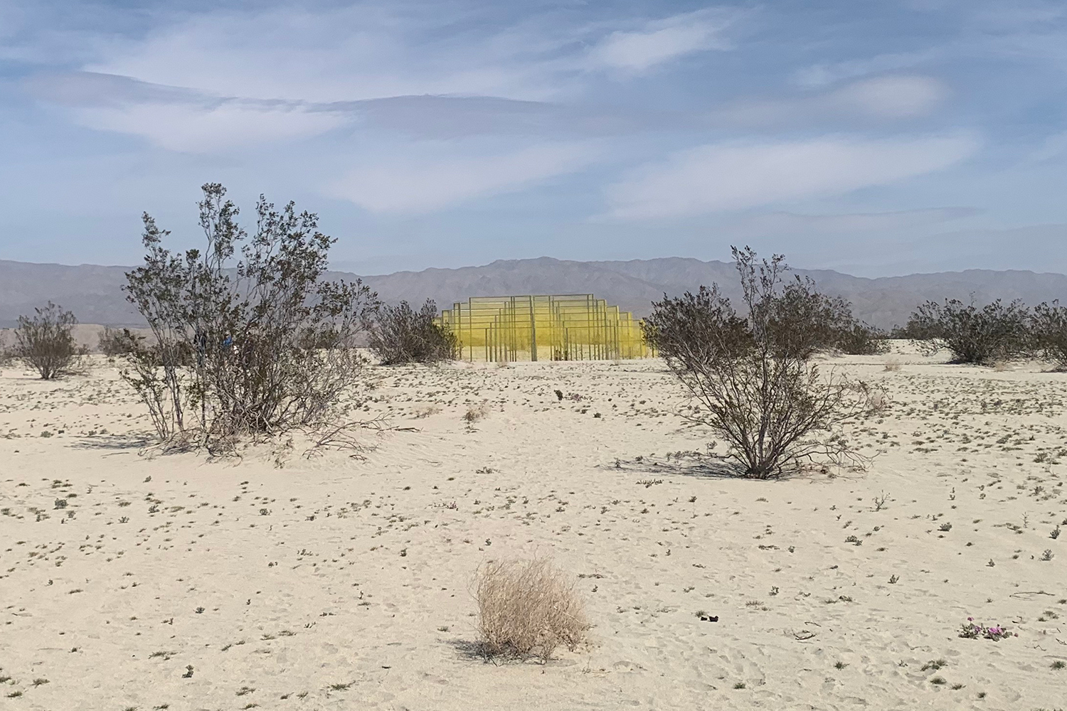 Palm Desert Desert X