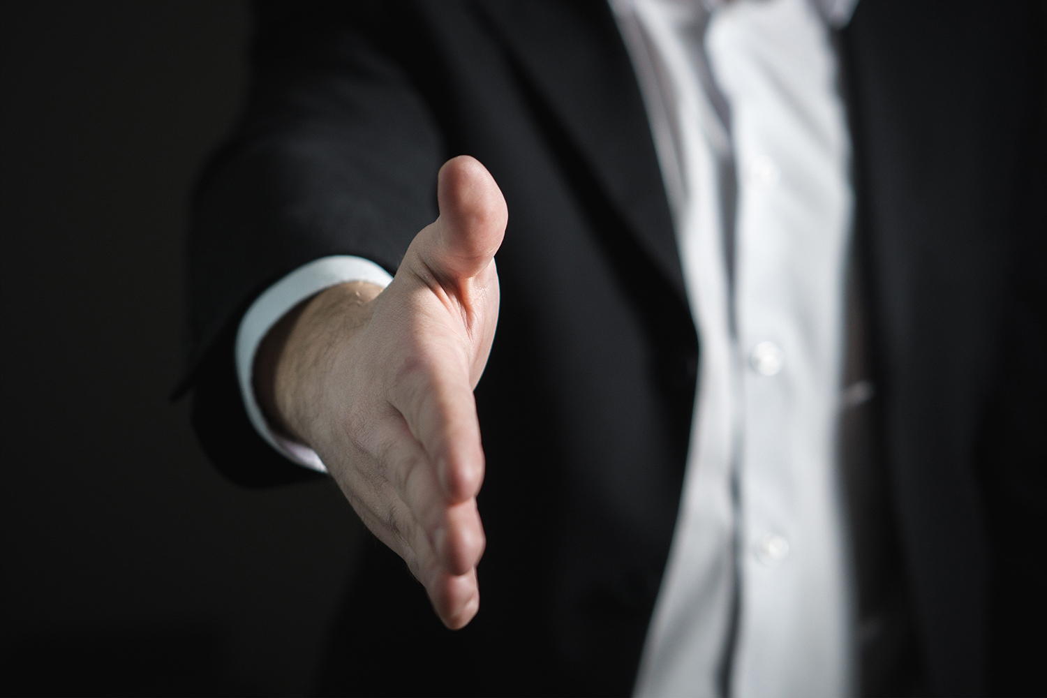 contact Branding Coachella